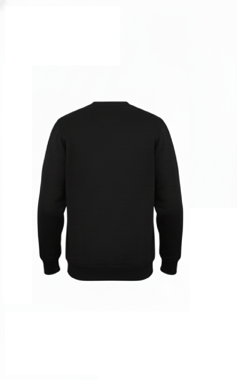 Rexot Fashion Premium Round Neck Solid Sweatshirt for Men Casual Sweat Shirt Full Sleeves Sweaters All Day Winter wear Black